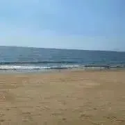 wYw  ※プロフ必読