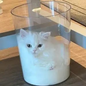 YY