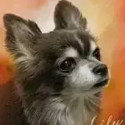 匿名配送】☆モンスターハンター☆ムフェトジーヴァ 2体セット