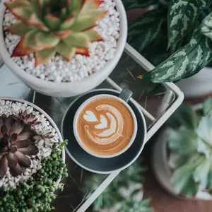 Salut! サリュ アンティーク アイアン 折り畳み テーブル シャビーシック Salut! サリュ アンティーク アイアン 折り畳み テーブル