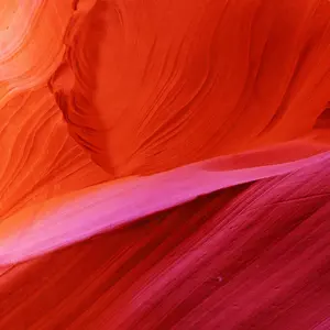 ☆ 大人気！☆ いとこのお姉ちゃんに甘えちゃう? 3 イラストサイン色紙