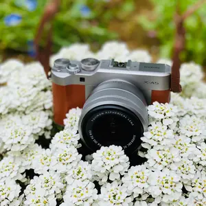 【希少】クリプタンサス　『リサ•ヴィンザント』 ポットごと発送 希少】クリプタンサス 『リサ•ヴィンザント』 ポットごと発送