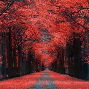 り*り様 スーパーツイーター TAKET-LIVE 美品 使用少 - メルカリ