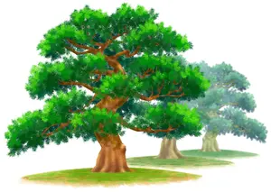 大覚寺 野中鉄工 鋏キリバシ 植木鋏 - メルカリ