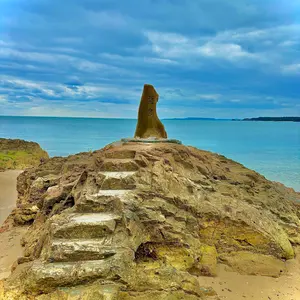 ヤナセ　パックノブ　硬式木製バット　マルーチ 楽天市場】【即日発送可】marucci MVEJCU26HP 硬式用木製バット