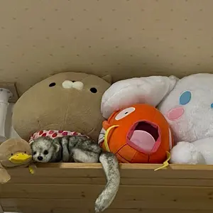 ダ*ン様 極美品 ジミーチュウ スタースタッズラウンドジップ財布 Jimmy