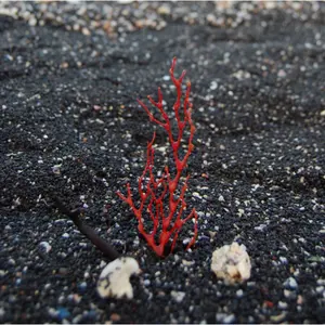 【希少】バルナックライカⅢf 銘玉(クセ玉)Summar 5cm F2付 希少】バルナックライカⅢf 銘玉(クセ玉)Summar 5cm F2付 - メルカリ