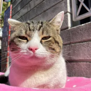 さん