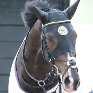 【現地馬券】ドウデュース 新馬戦 現地単勝馬券 ジャパンカップ イクイノックス、ドウデュース 現地単勝馬券