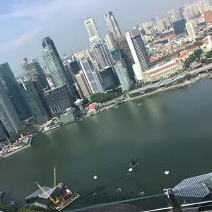 SONY デジタルタイマー DT-10 ウッド調 可動品 - メルカリ