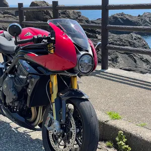 即日出荷】TRIUMPH パンチングレザー ライダースジャケット ブラック S