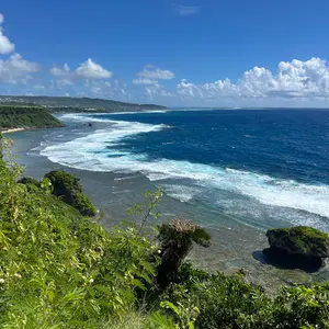 SIMS SHAUN PALMERプリント スケートボードデッキ 8inch - メルカリ