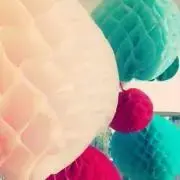 pipipi