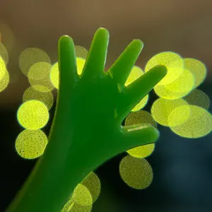 Mutable Instruments Ears クローン - メルカリ
