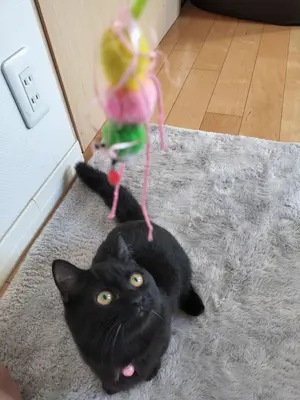 希少 BALENCIAGA バレンシアガ ドレスシューズ 27 archive - メルカリ