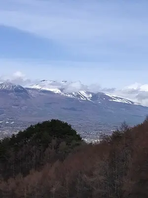 【未使用・廃盤品】ライカ ディボーション ミッド 未使用・廃盤品】ライカ ディボーション ミッド - メルカリ