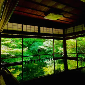 ドルフィンウェッジ52.58 DW113 NS950 2 本セット - メルカリ