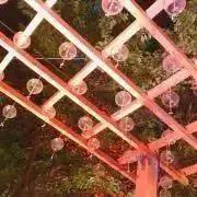 終遠のヴィルシュ アンクゥ 冬の市 春風マルシェ パルカ 終遠のヴィルシュ アンクゥ 冬の市 春風マルシェ アクスタ