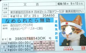 なめヌコさん用！ドリフトパッケージライト！5台セット！ - メルカリ