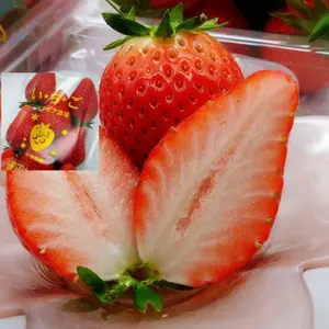 レイニアチェリー 1kg 高糖度 9.5R 大玉 - メルカリ