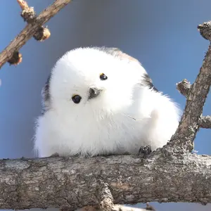 SAITO KENGO 8 斉藤健吾 - メルカリ