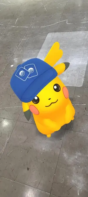 A☆KEN様専用】ポケモンGO 10周年記念 GOfes2026 tokyo - メルカリ