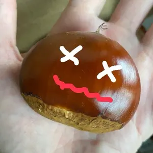 nene様ご相談用　茨城県笠間産　生栗 nene様ご相談用 茨城県笠間産 生栗 - メルカリ