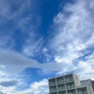 三代目 縁日 レア ネックストラップ ポーチ 登坂広臣 セット 実写