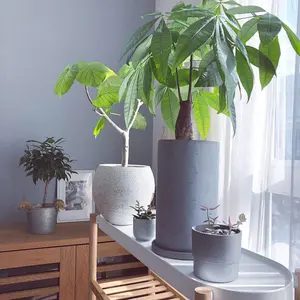 もっく【まとめ買い対応します】