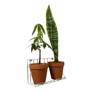 772015/SANSUI AU-555 プリメインアンプ 動作未確認 - メルカリ