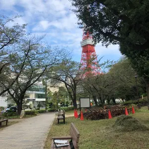 こたつ
