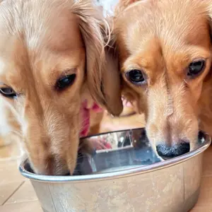 東京リベンジャーズ 東リべ DMMスクラッチくじ 幼年期 松野千冬