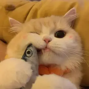 A-645 宣統三年 大清銅幣二十文 直径33mm 重さ11.39g - メルカリ