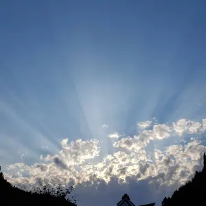 セイリン ココロケーター - メルカリ