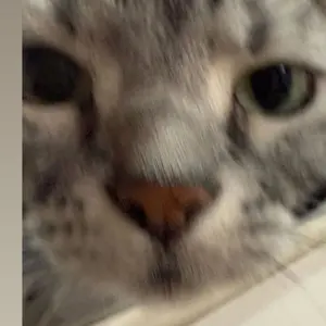 ラスト1着 大森元貴着用 MAISON SPECIAL ジャケット - メルカリ