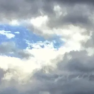 さこ