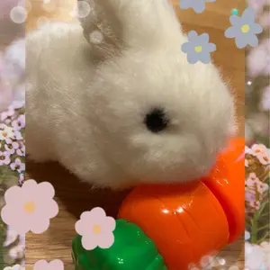 前田大翔 なまけもの ぬいぐるみ - メルカリ