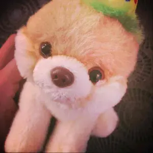 まめドラ ぬいぐるみ 5人セット - メルカリ