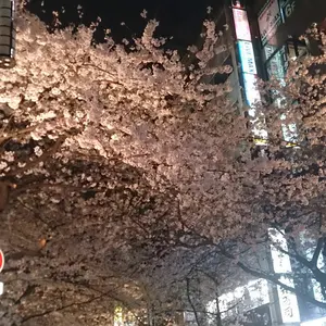 ヴァイスシュヴァルツ NIKKE ラストキングダム クラウン PRホイル