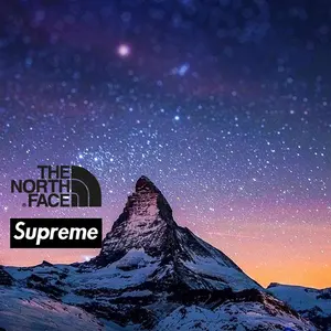 ピカチュウ　ジムバトルプロモ　リザードン22枚　ミュウ5枚セット ピカチュウ ジムバトルプロモ リザードン22枚 ミュウ5枚セット