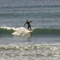 EFFLORESCENCE グレー フード付き ダンボールパーカーL - メルカリ