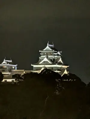 ゆ*ま様 職専目透かしカッター 2本セット - メルカリ