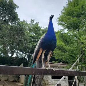 しーと@プロフィールご確認ください