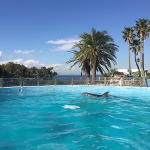 ファンボード TAHE7'6″EASY SURFINGアルメリック5フィン付き - メルカリ