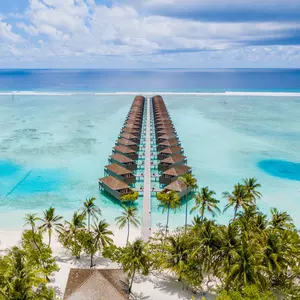 アクーニャJR. 25枚限定 ベースレリック Topps 2023 WBC - メルカリ