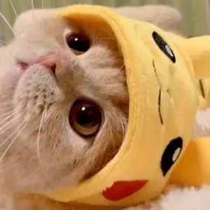 4cペテンシーフシギバース 4cディスペクター - メルカリ