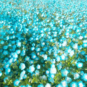 BLUE OF LIBERTY ボディーシール SixTONES 京本大我 - メルカリ