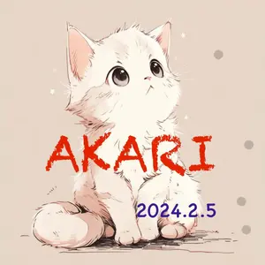 ＡＫＡＲＩセレクトshop