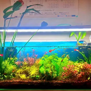 1982年レアフィグメント ドラゴンエプコットディズニーワールド