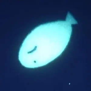 MOMOLAND ジュイ RODEO トレカ MOMOLAND ジュイ RODEO トレカ - メルカリ